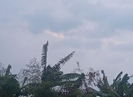 Apaan tuh