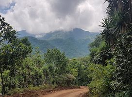 Comayagua
