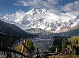 Falak Sar
