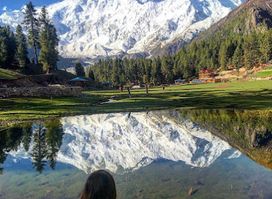 Fairy Meadows National Park