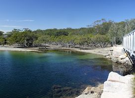 Cabbage Tree Basin