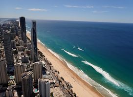 Skypoint Climb