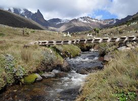 Mount Kenya
