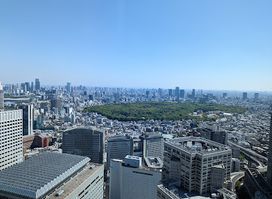 Tokyo Metropolitan Government Building North Observatory