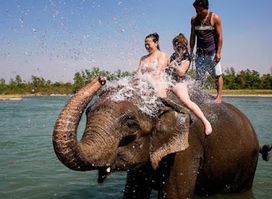 Chitwan Wildlife Safari