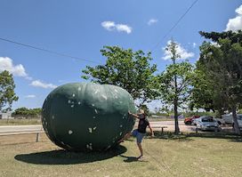 The Big Pumpkin