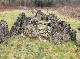 Gartnanoul Megalithic Court Tomb