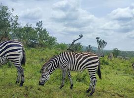 My Trip 2 Africa Tours