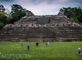 Pacz Tours