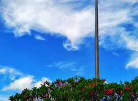 Peace Park