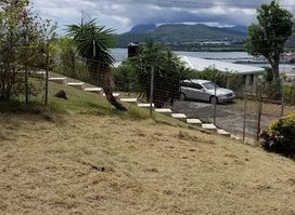 A Peace of Paradise