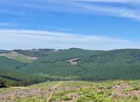 Magoebaskloof