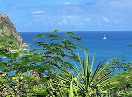 Adventure Tours St Lucia