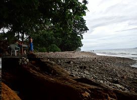Dolphin View Beach