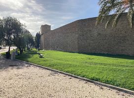 Parque Biossaudavel de Faro