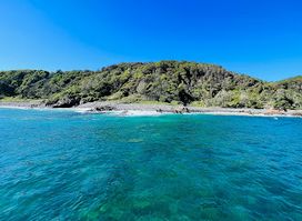 Noosa Whale & Dolphin Centre