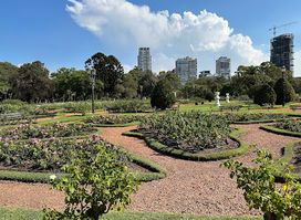 Paseo El Rosedal Garden