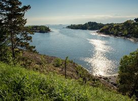 Kuninkaansaari