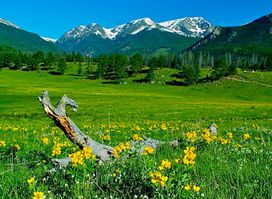 Rocky Mountain Day Hikes, a Website of hiking trails in Rocky Mountain National Park