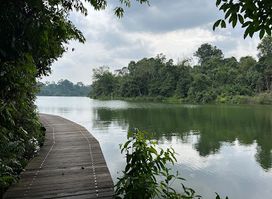 Lower Peirce Trail - Jacaranda Entrance