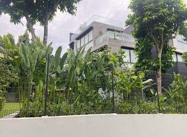 Mont Timah