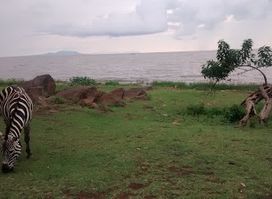 Kisumu Impala Park Wildlife Sanctuary Office