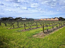 Chateau Tanunda