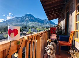 Hoppy Alpaca Hostel