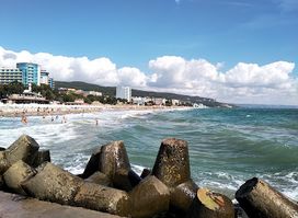 Riviera beach free zone