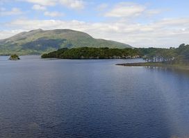 Muckross Traditional Farms