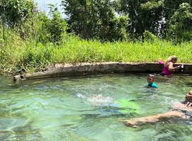 Manantial tortuguero