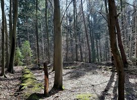 Klösterle