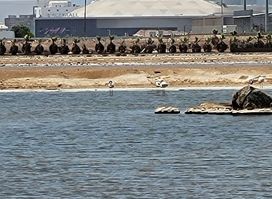 Eilat Ornithological Park