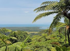 Mount Alexandra Lookout