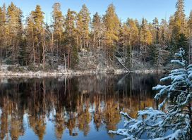 Oulanka Visitor Center
