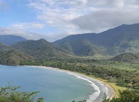 Neguanje parque tayrona