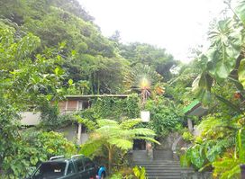 Papillote Tropical Gardens