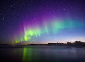 Wild About Lapland