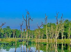 Baatuli Pokhari