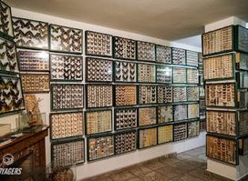 Entomological Museum