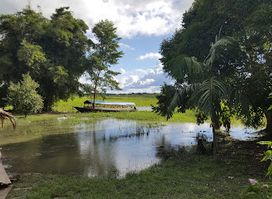 Office of La Isla de los Monos