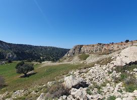 Viewpoint