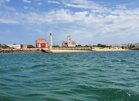 Formosamar - Boat Tours Passeios na Ria Formosa