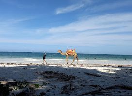 Nyali beach