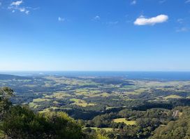 Illawarra lookout walking track