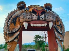 Tiger temple