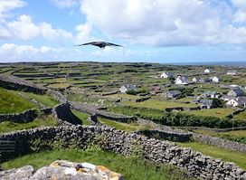Trá Inis Oirr (Inisheer Blue Flag Beach)