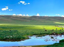 Khangai Mountains