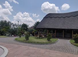 Canine Safaris Ltd