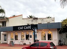 Adrianuzca´s Cat Café